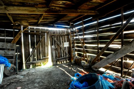 Broken, Farm, Wood