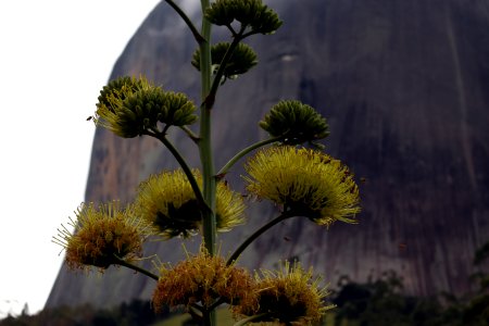 Parque estadual pedra azul, Brazil, Wallpaper