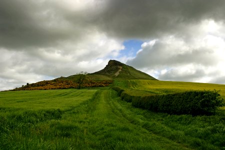 Nature, Roseberry topping, Middlesbrough photo