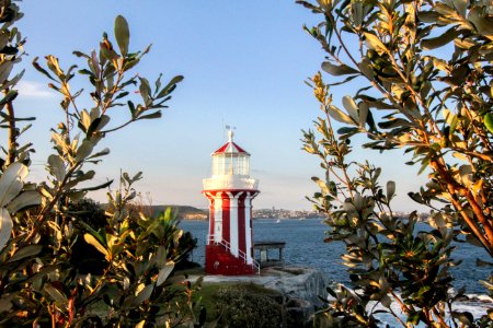 Australia, Horn