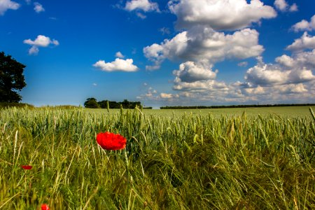 Norfolk, United kingdom, Scape