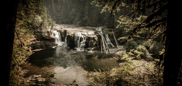 Lower lewis river falls, Cougar, United states