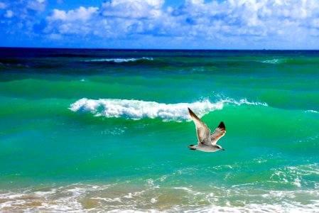 Miami beach, United states, Miami