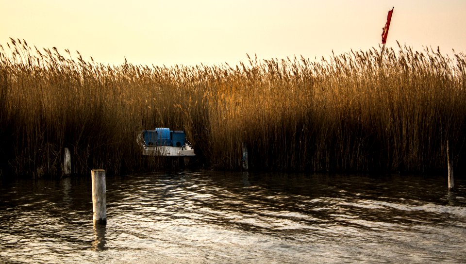 Lake neusiedl, Flag, Boat