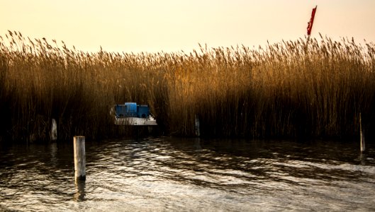 Lake neusiedl, Flag, Boat