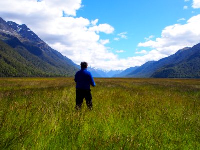 New Zealand, Nature, Wide