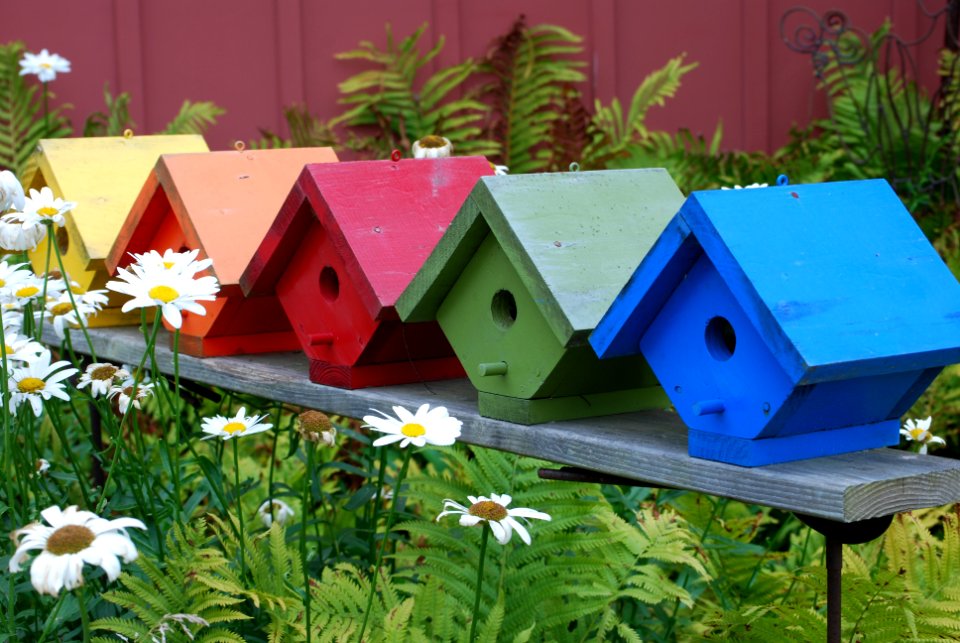Saugatuck, United states, Colorful
