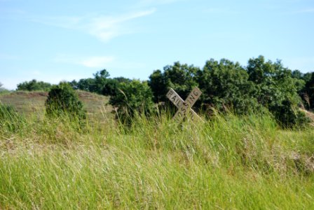 Saugatuck dune rides inc, Saugatuck, United states photo