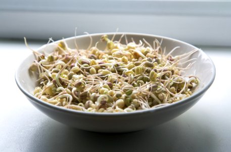 pasta dish on white ceramic bowl photo