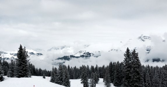 Davos, Switzerland, Parsenn photo