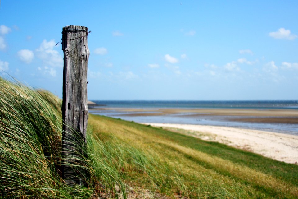 Den helder, Netherland, Wooden post