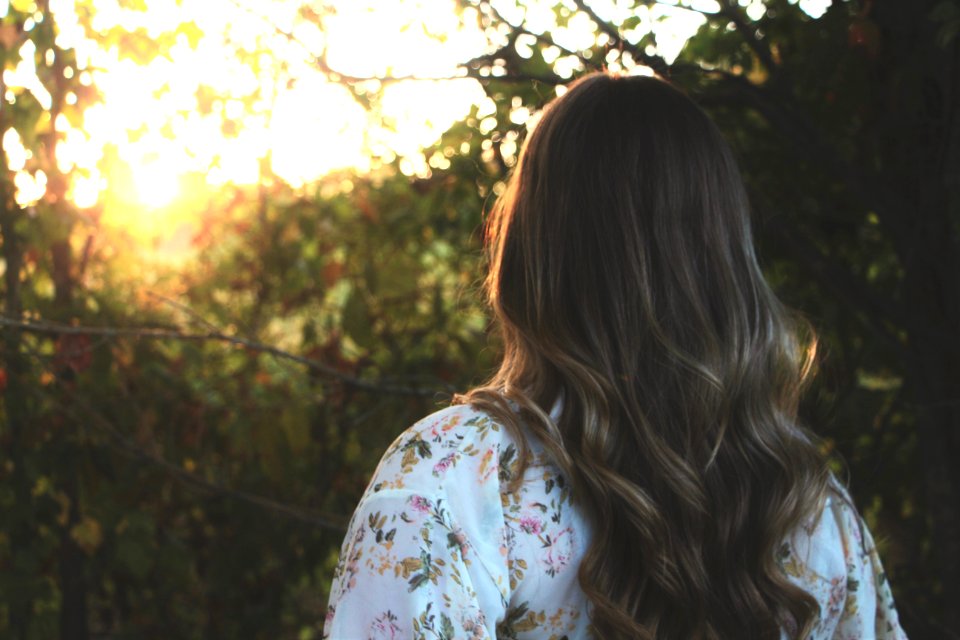 Fall, Summer, Afternoon