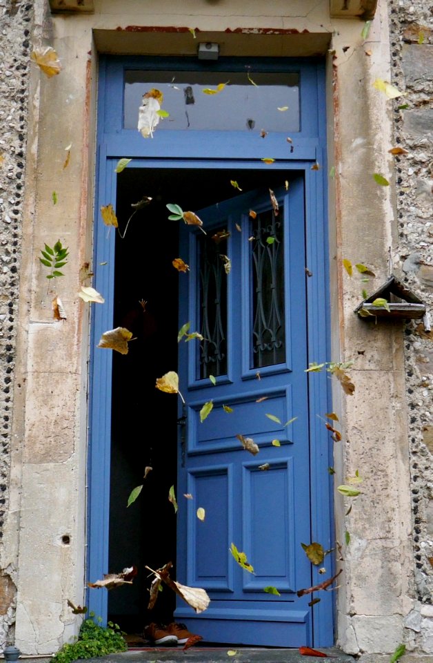 Wind, Autumn, Falling
