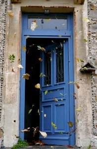 Wind, Autumn, Falling