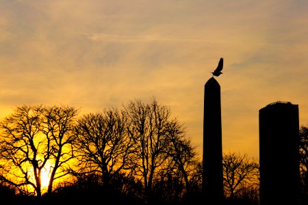 Luxembourg gardens, Paris, France photo