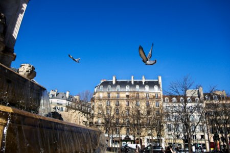 Place saintsulpice, Paris, France