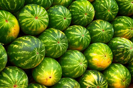 Healthy organic fresh