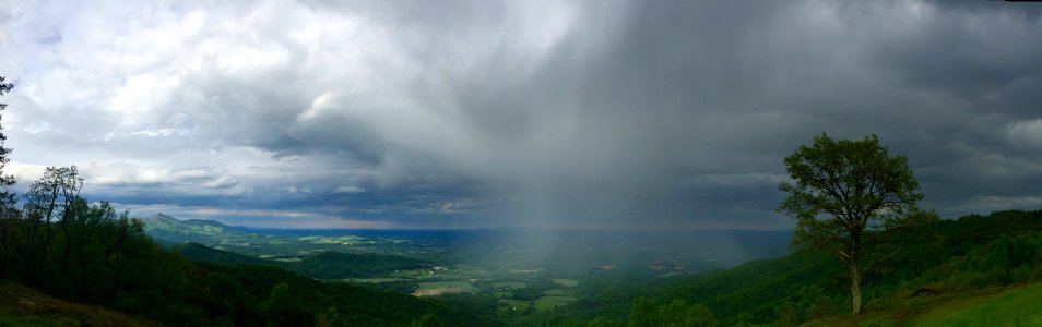Virginia, Callaway, United states