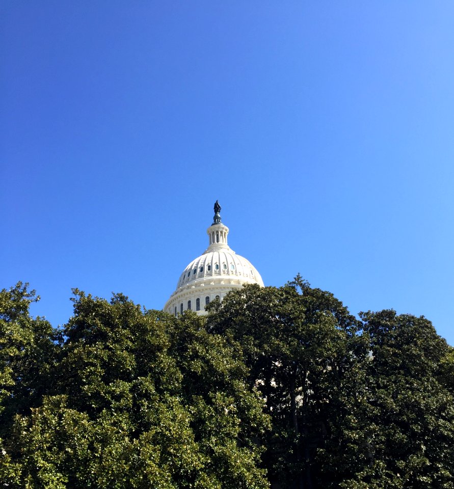 Washington, United states, Vote