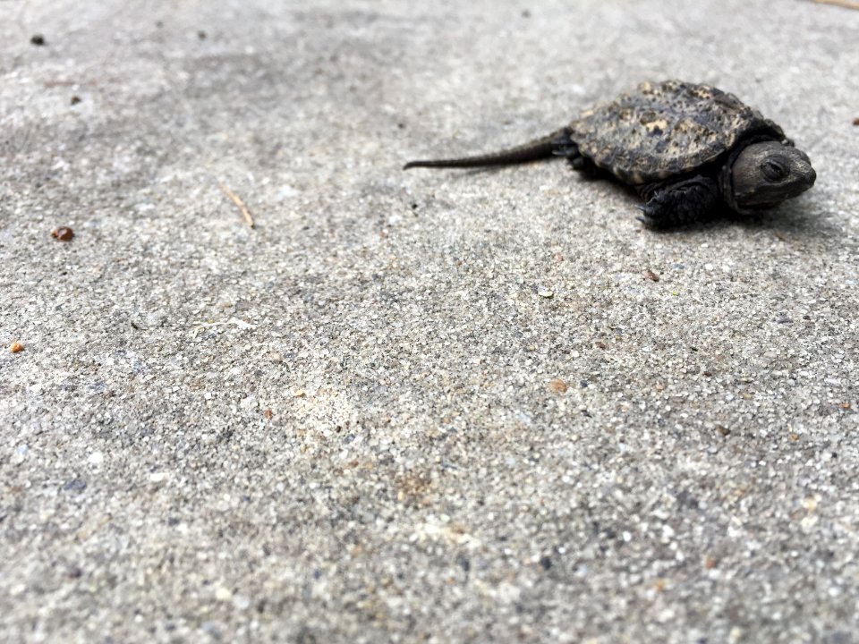Pennsville, United states, Texture