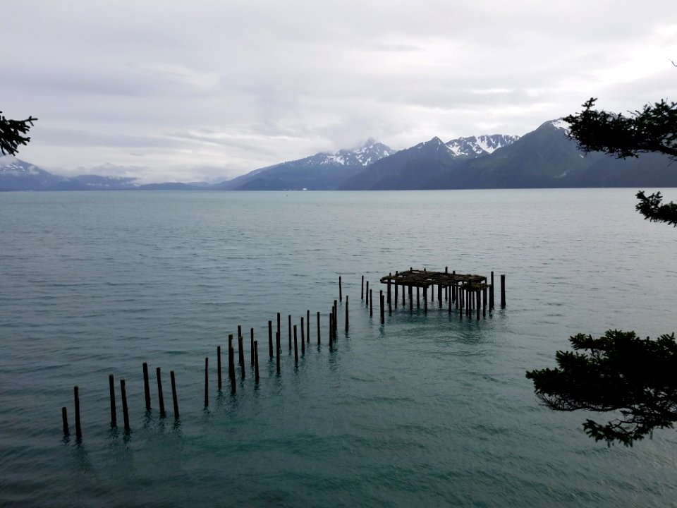 brown wooden dock on sea during daytime photo