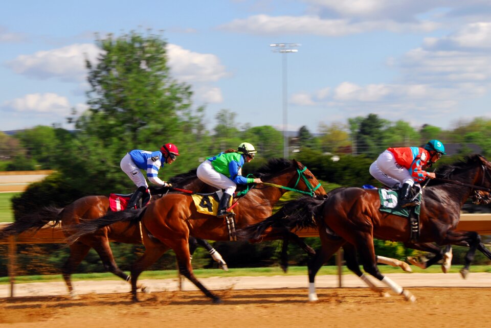 Power speed equestrian