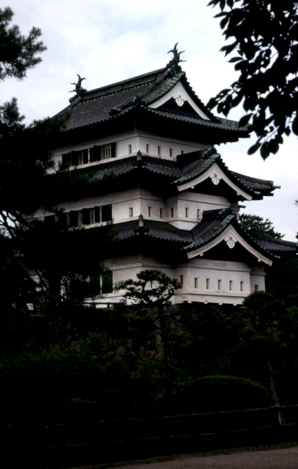 Trees, Building, Black