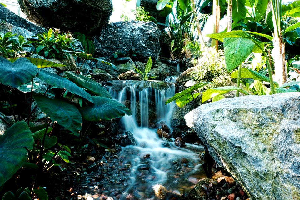 Muttart conservatory, Edmonton, Canada