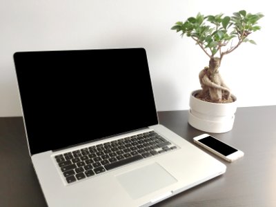 Minimalist, Simple, Desk plant