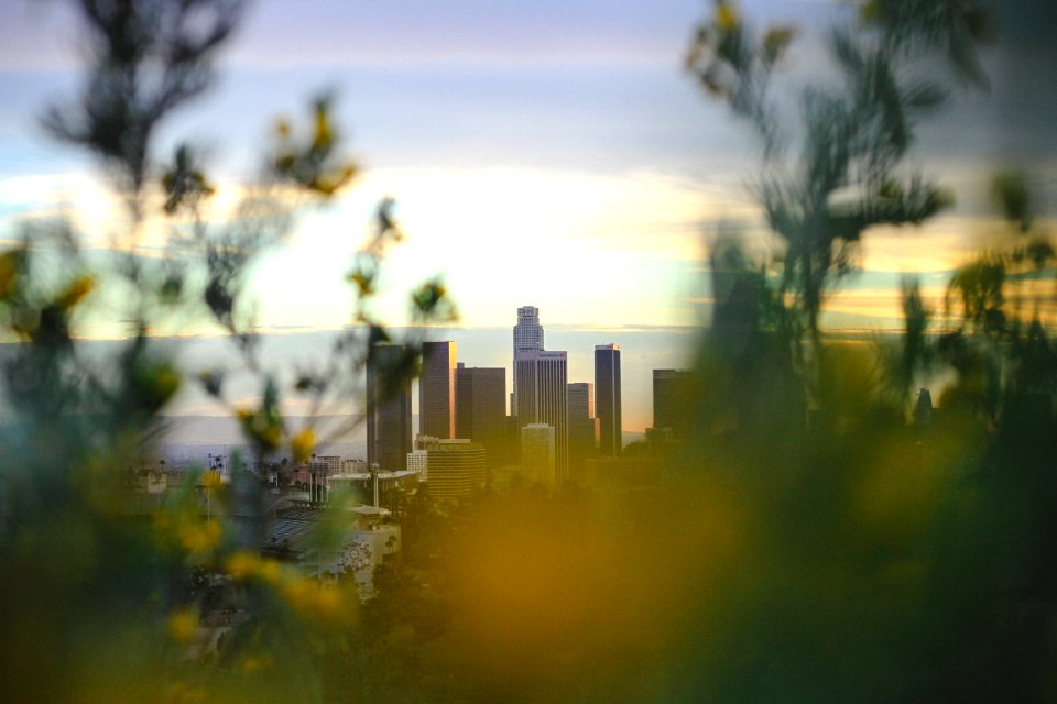 Los angeles, United states, Sunset