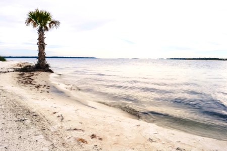 Panama city beach, United states, Erlust