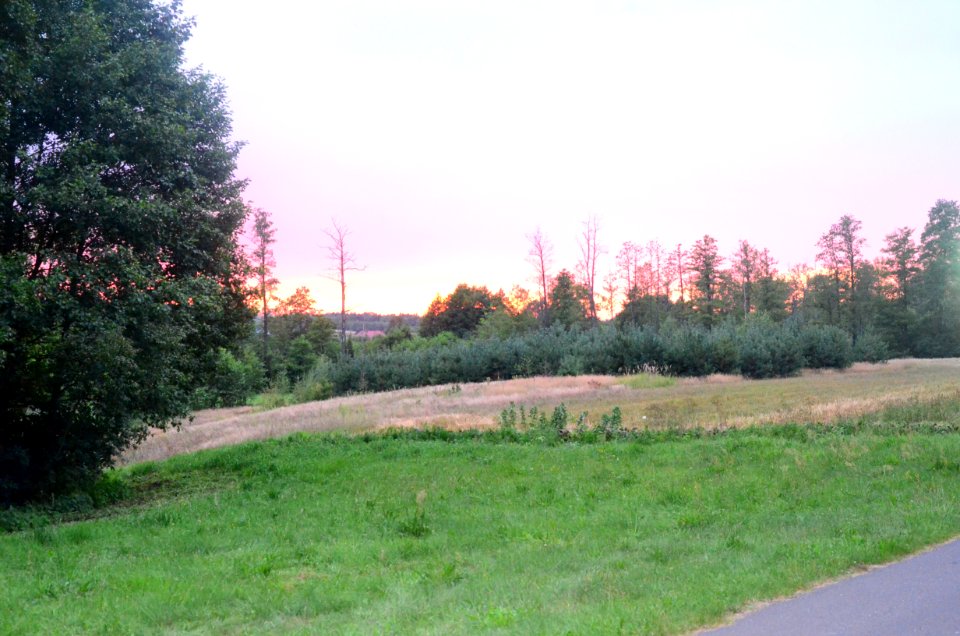 Polska, Forest, Village