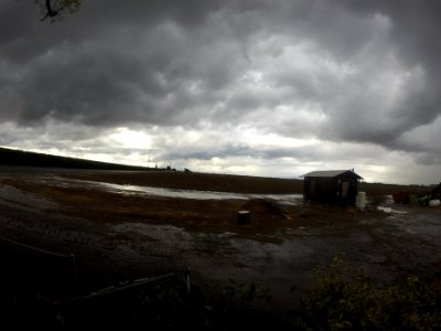 Dinuba, United states, Shack