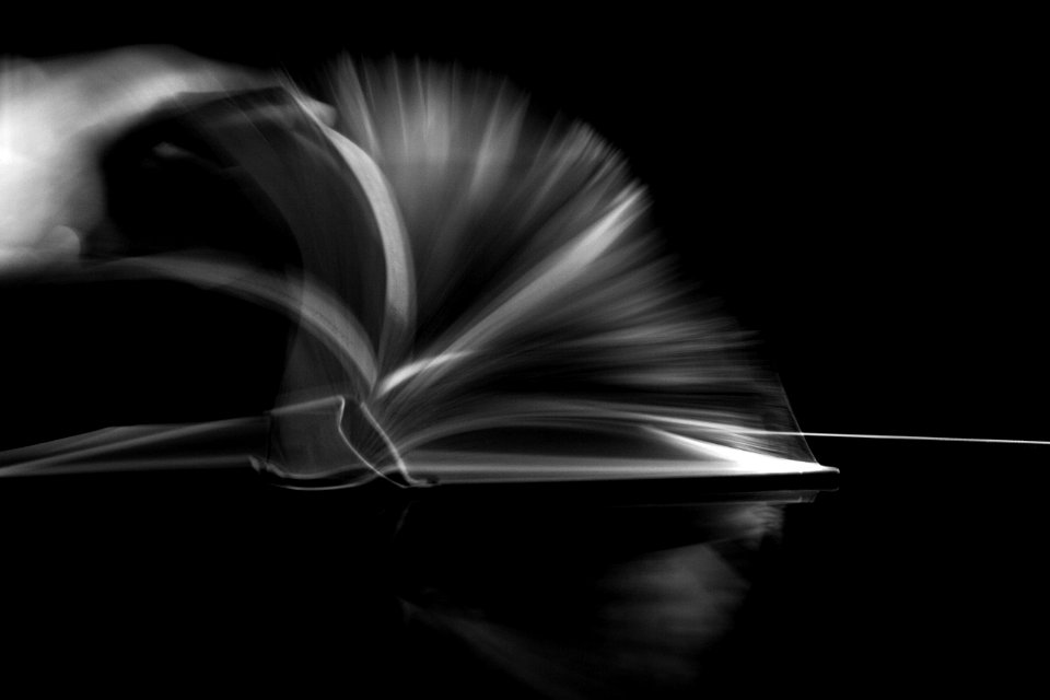 Panning, Blackwhite, Book