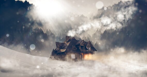 Landscape log cabin trees