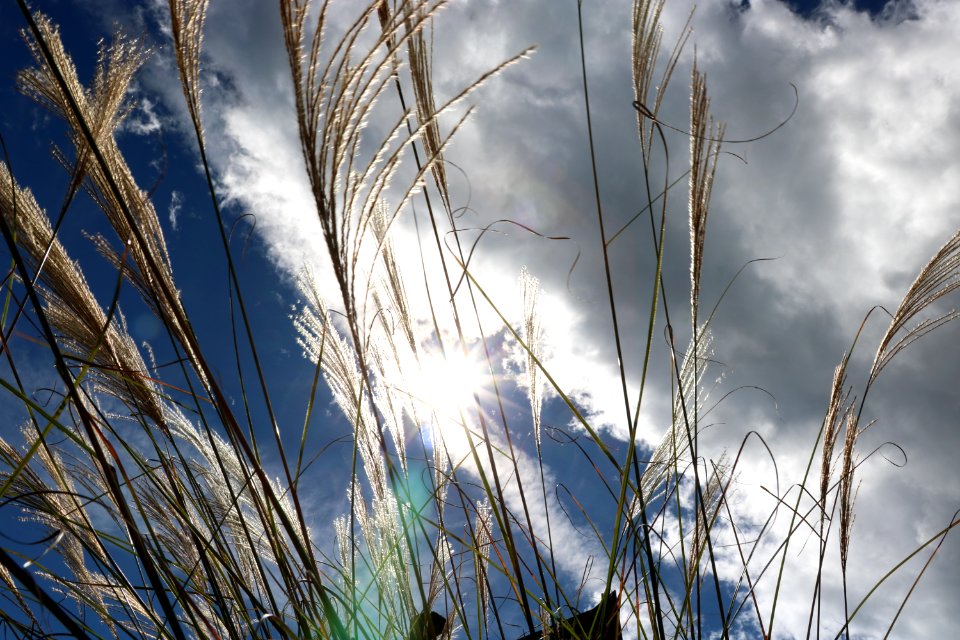Wuling farm, Taiwan, Cloud