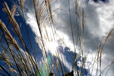 Wuling farm, Taiwan, Cloud photo