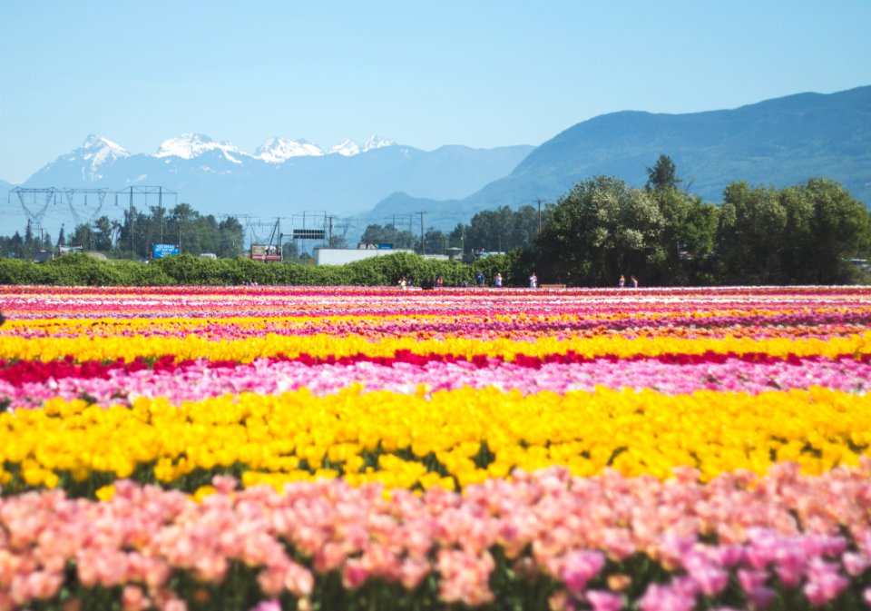 Canada, Abbotsford, Mountain