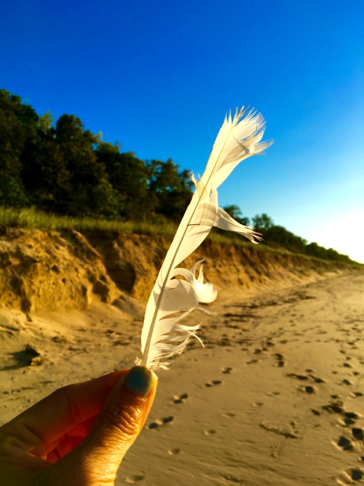 Indiana dunes state park, Chesterton, United states
