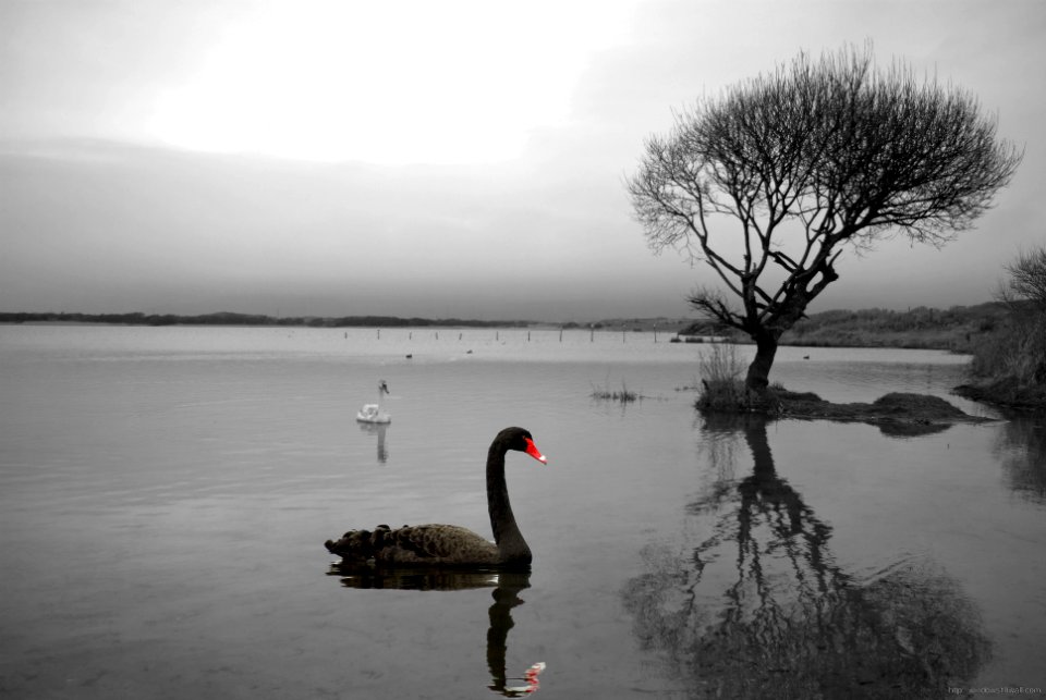 United states, Photography, Wallpapers