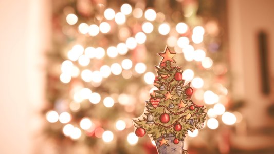 Christmas tree, Tree, Cardboard christmas tree