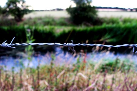 Scape, Barbed wire