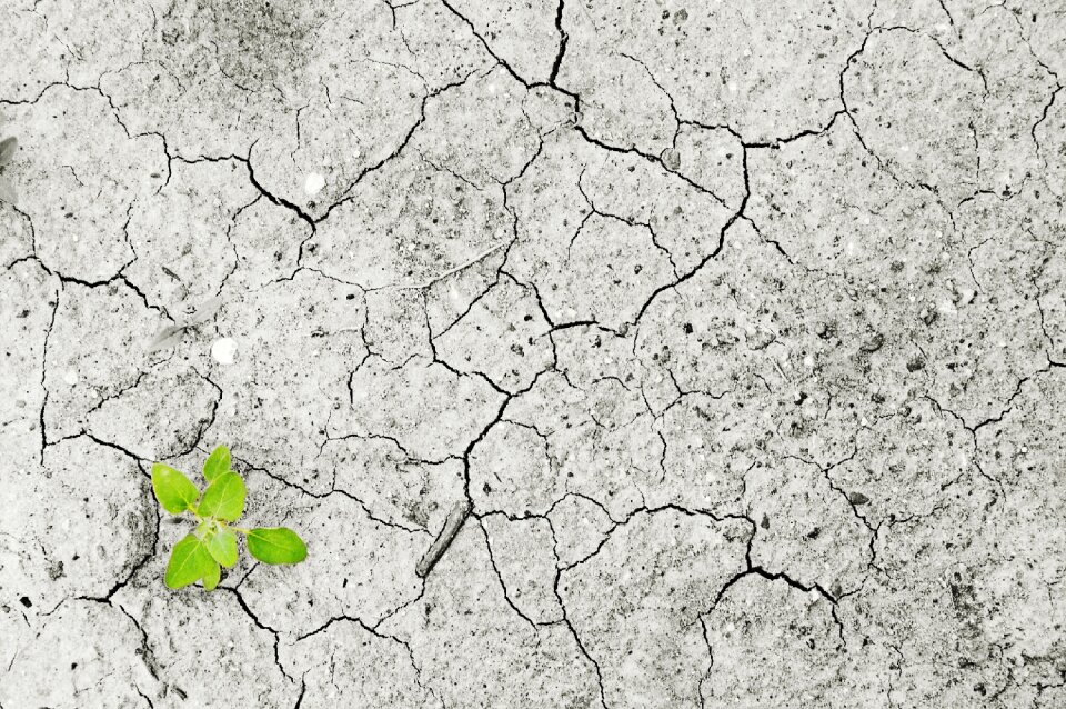 Dry period lack of water water