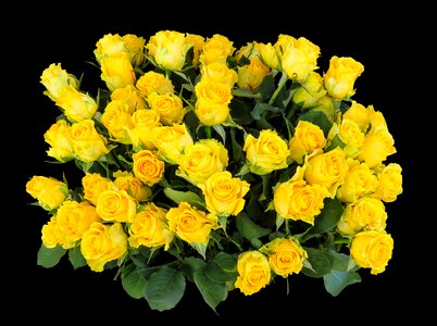 Greeting bouquet happy birthday