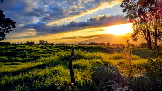 Ka hale olinda, Makawao, United states