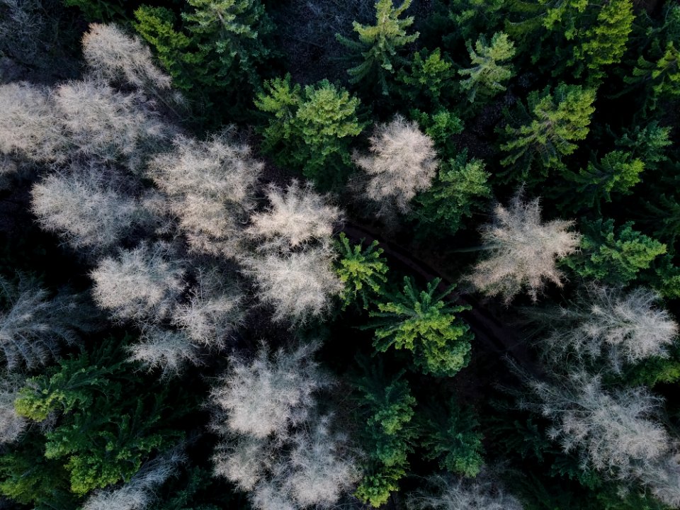 Kassel, Lukasbecker, Mavic