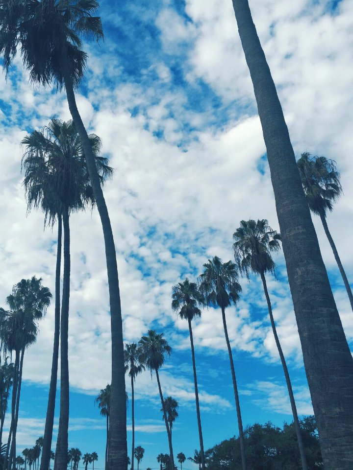 Pacific beach, San diego, United states
