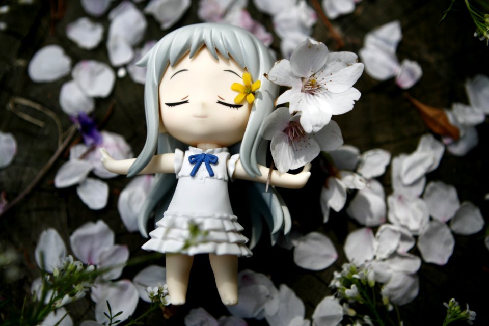 Cherryblossoms, Flower, Toy