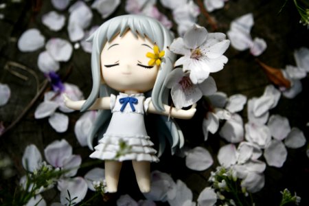 Cherryblossoms, Flower, Toy