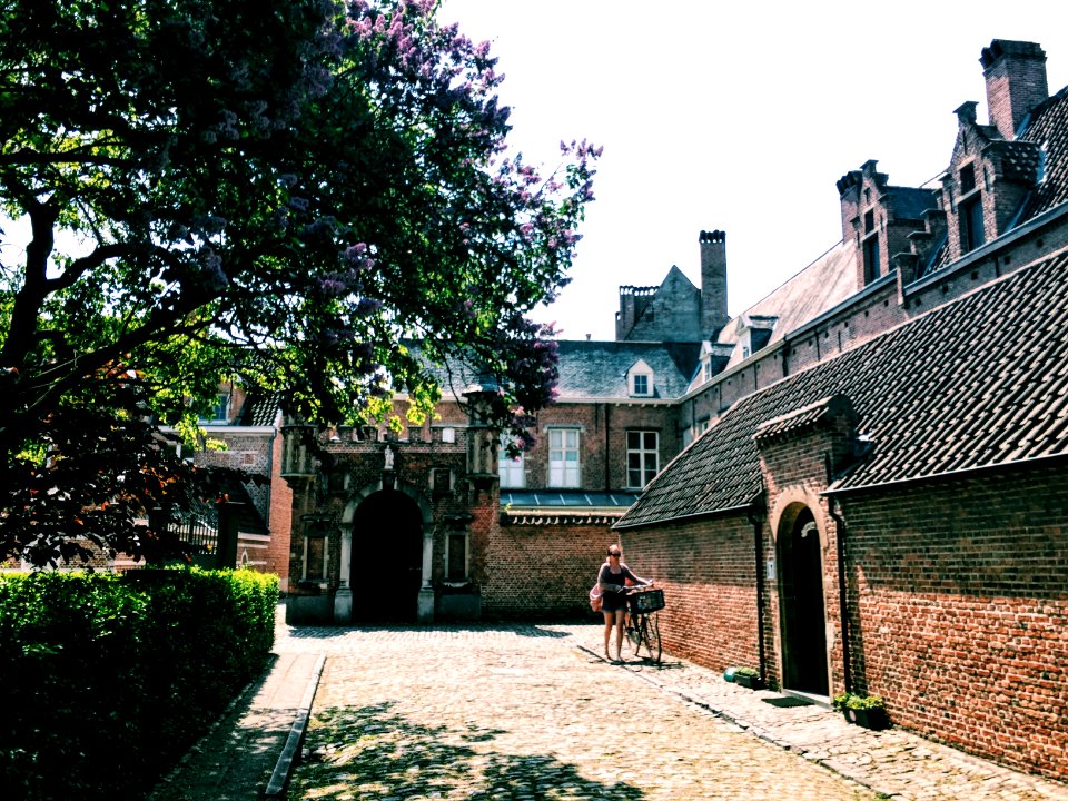 Antwerp, Belgium, Summer